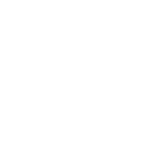 Icon---Vida